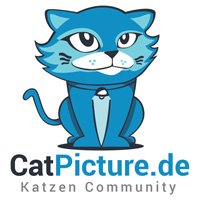 catpicture - Katzen Community