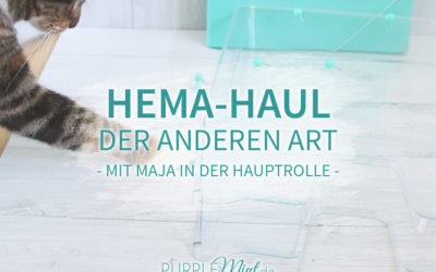 HEMA-Haul der anderen Art (#catcontent)