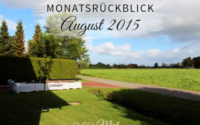 Monatsrückblick: August 2015